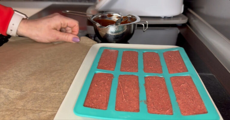 Snack Videos